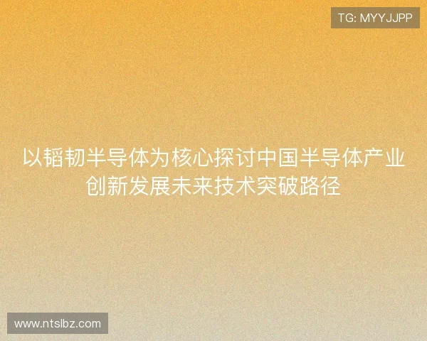 以韬韧半导体为核心探讨中国半导体产业创新发展未来技术突破路径